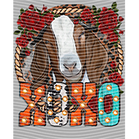 Valentine's Day-QRJ  621